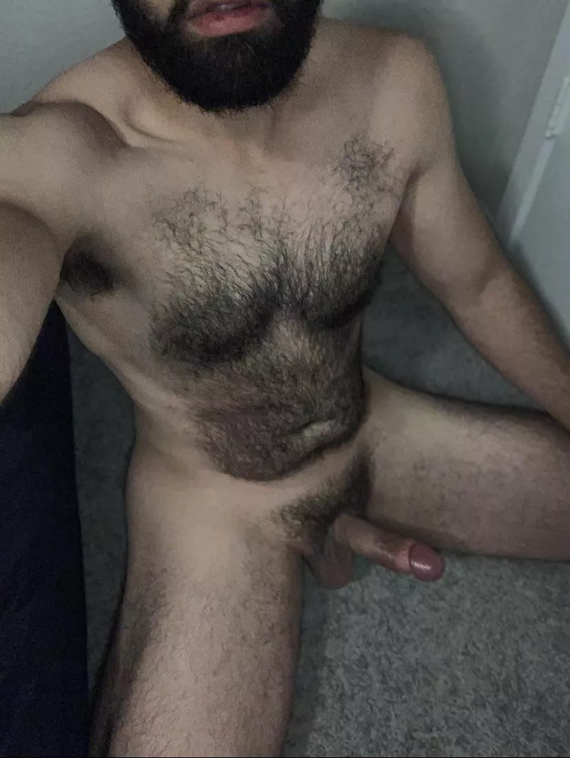 Can you help me cum?
