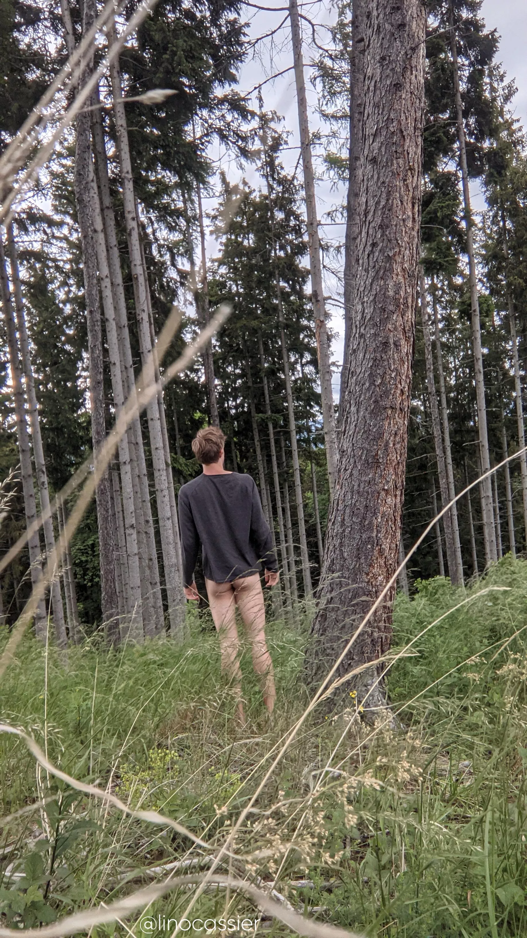 Do you have some wood for me?