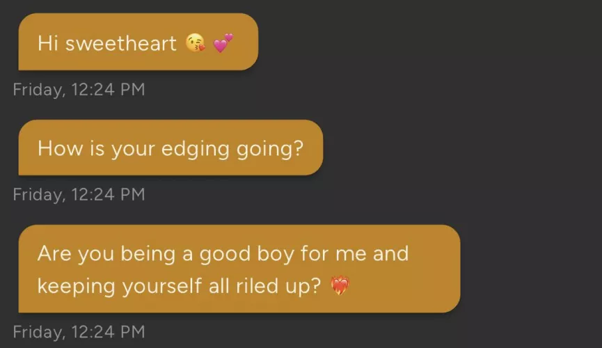 Fae's Making Sure I Stay on Task