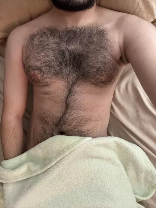 Gayhairyvers
