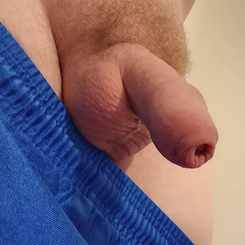 Good Morning from a cold Softie. Haha