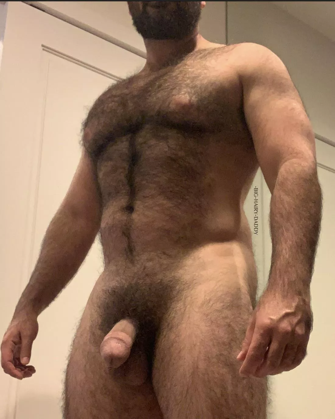 HAIRY & HORNY