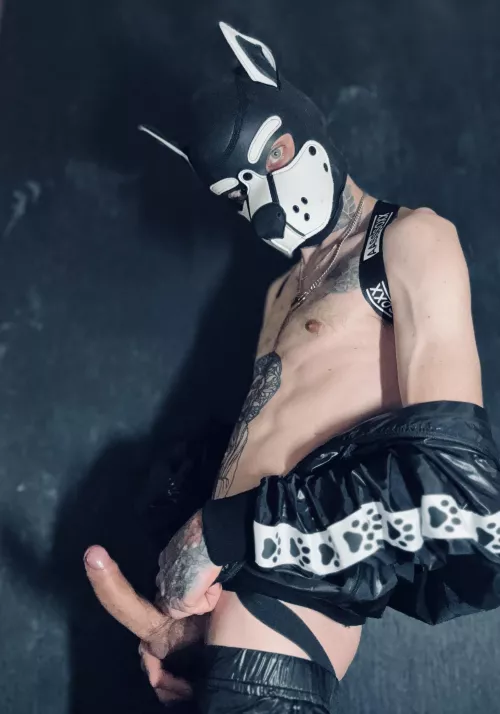 Hey i've got a bone to chew, wanna taste ? 🦴🐾