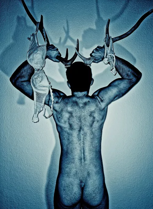 Horny beast, spotted in the wild...