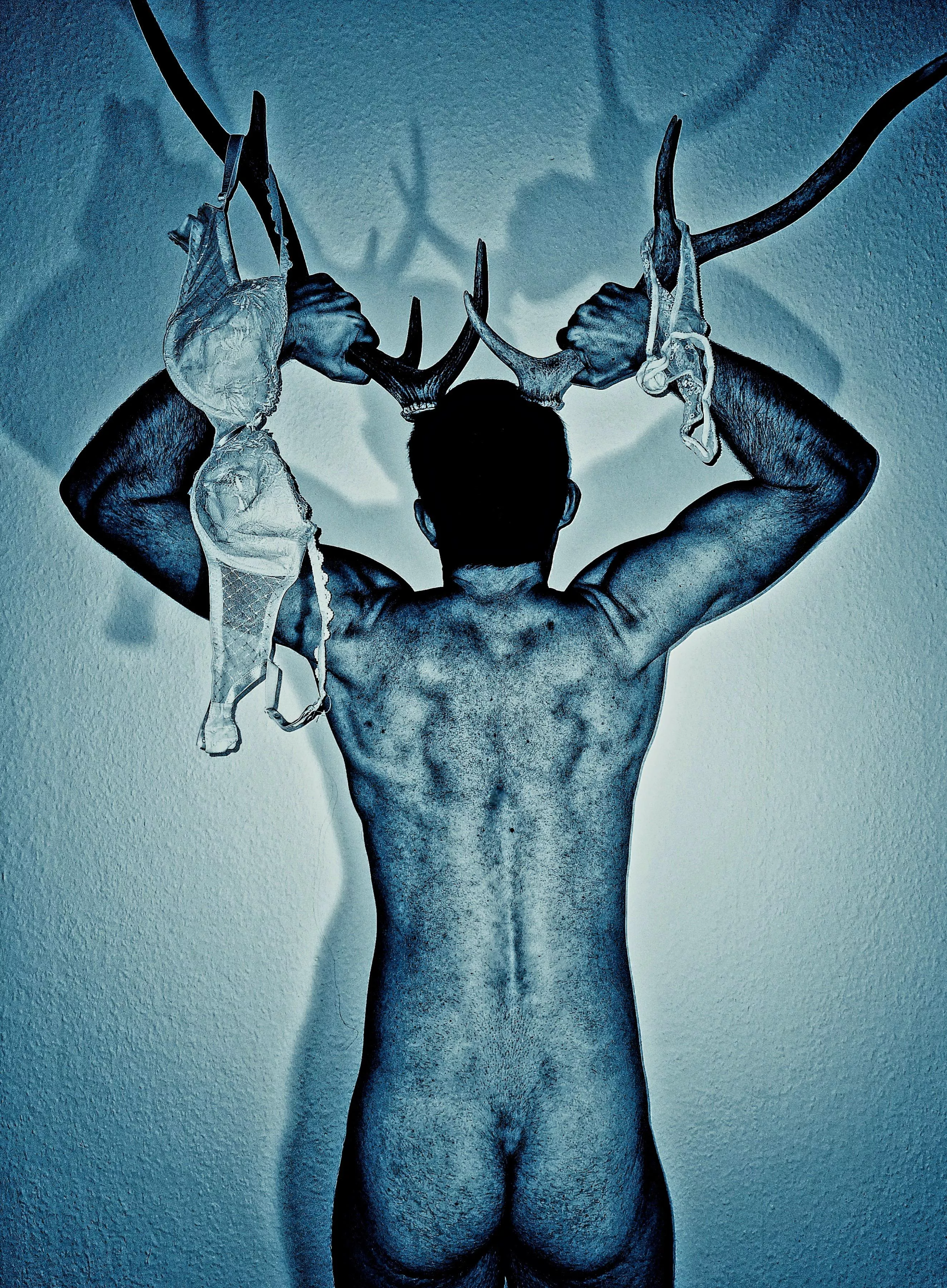 Horny beast, spotted in the wild...