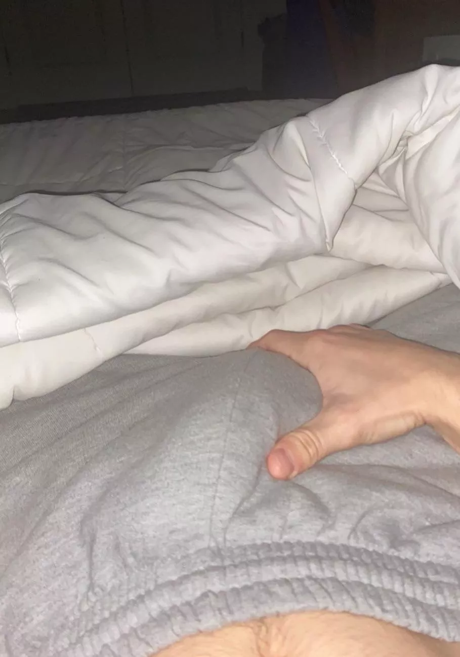 How big do you think it is?