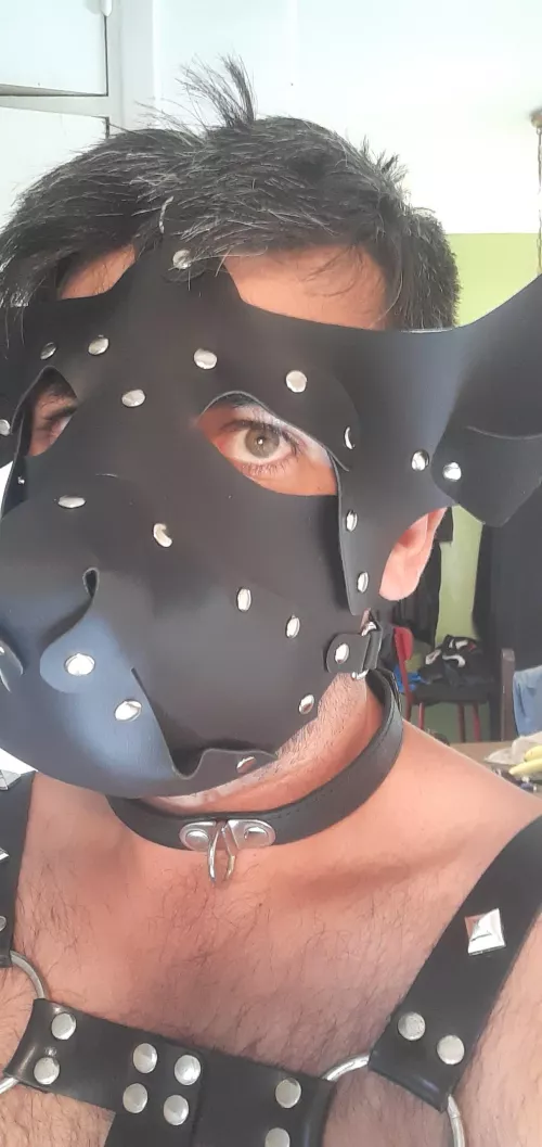 I'm ready waiting for my alpha