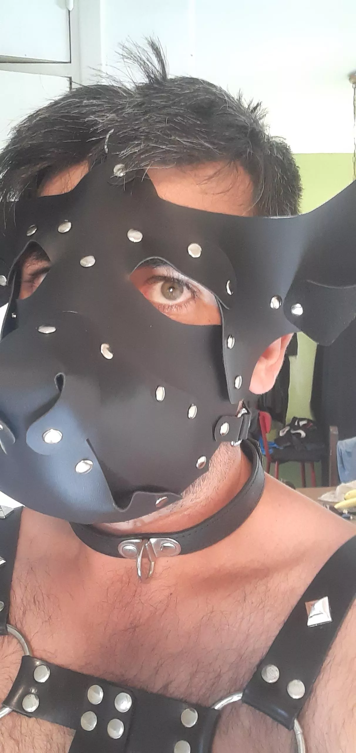 I'm ready waiting for my alpha