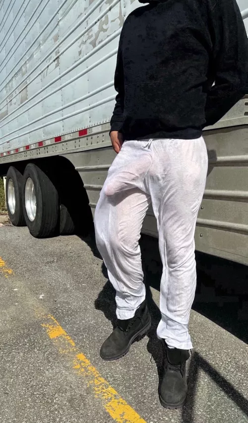 Looking for travel companions