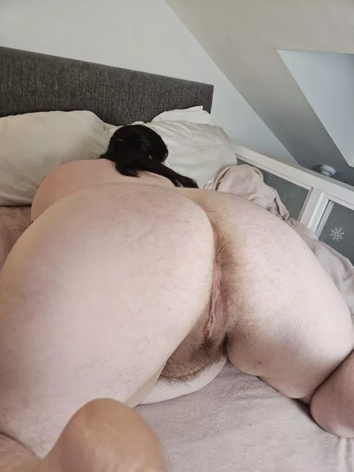 My bed is a bit small for two, I guess I'll have to be on top of you