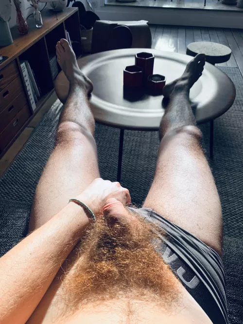 My extremely furry bush