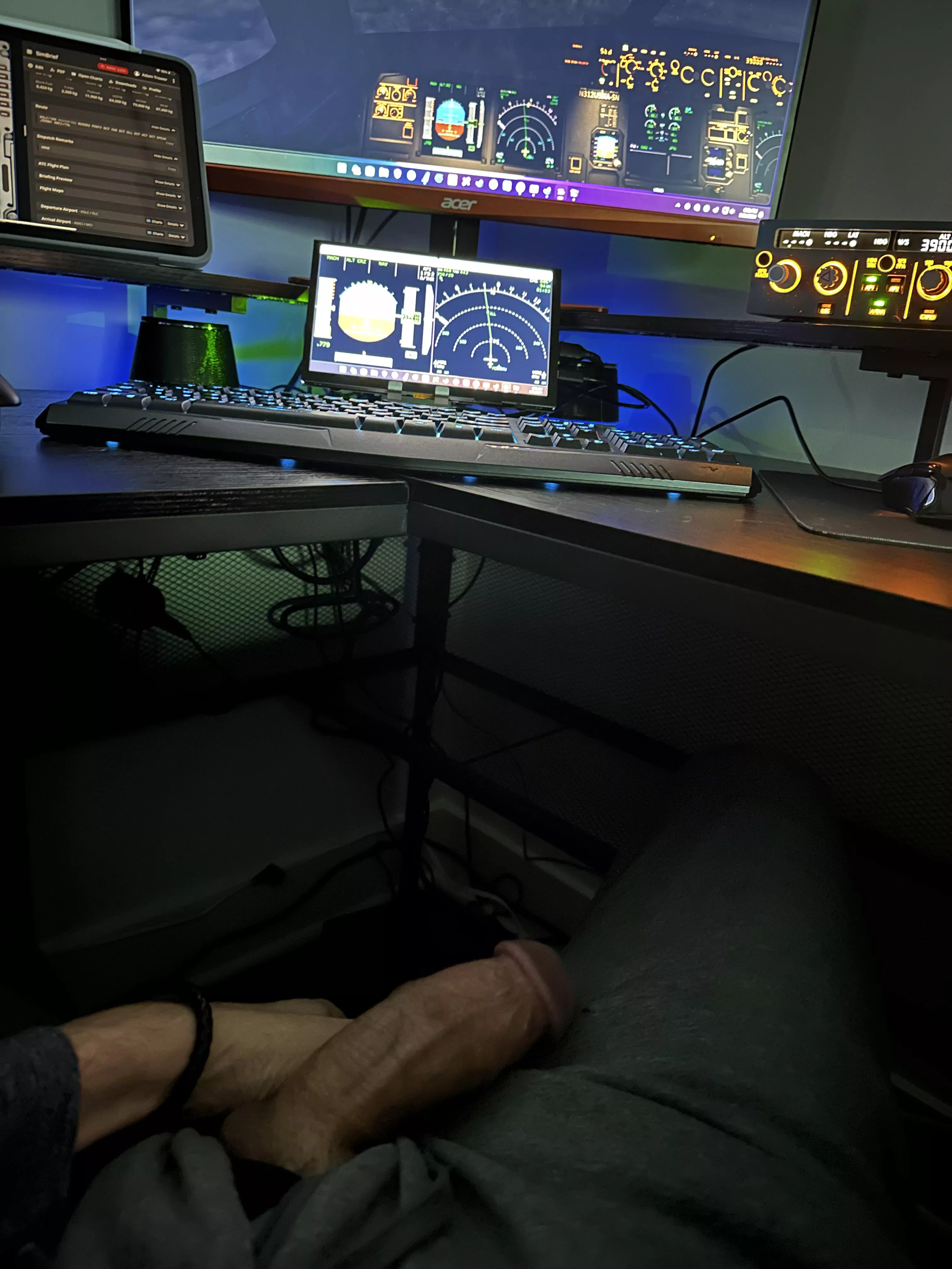 What do real pilots do once you’re at cruise?