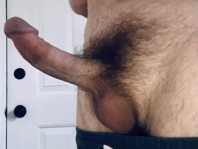 What do you think of my bush?