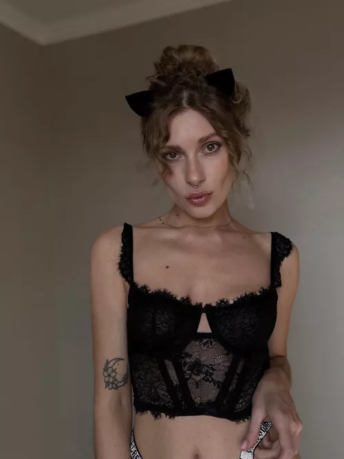 What do you want to feed your cat?