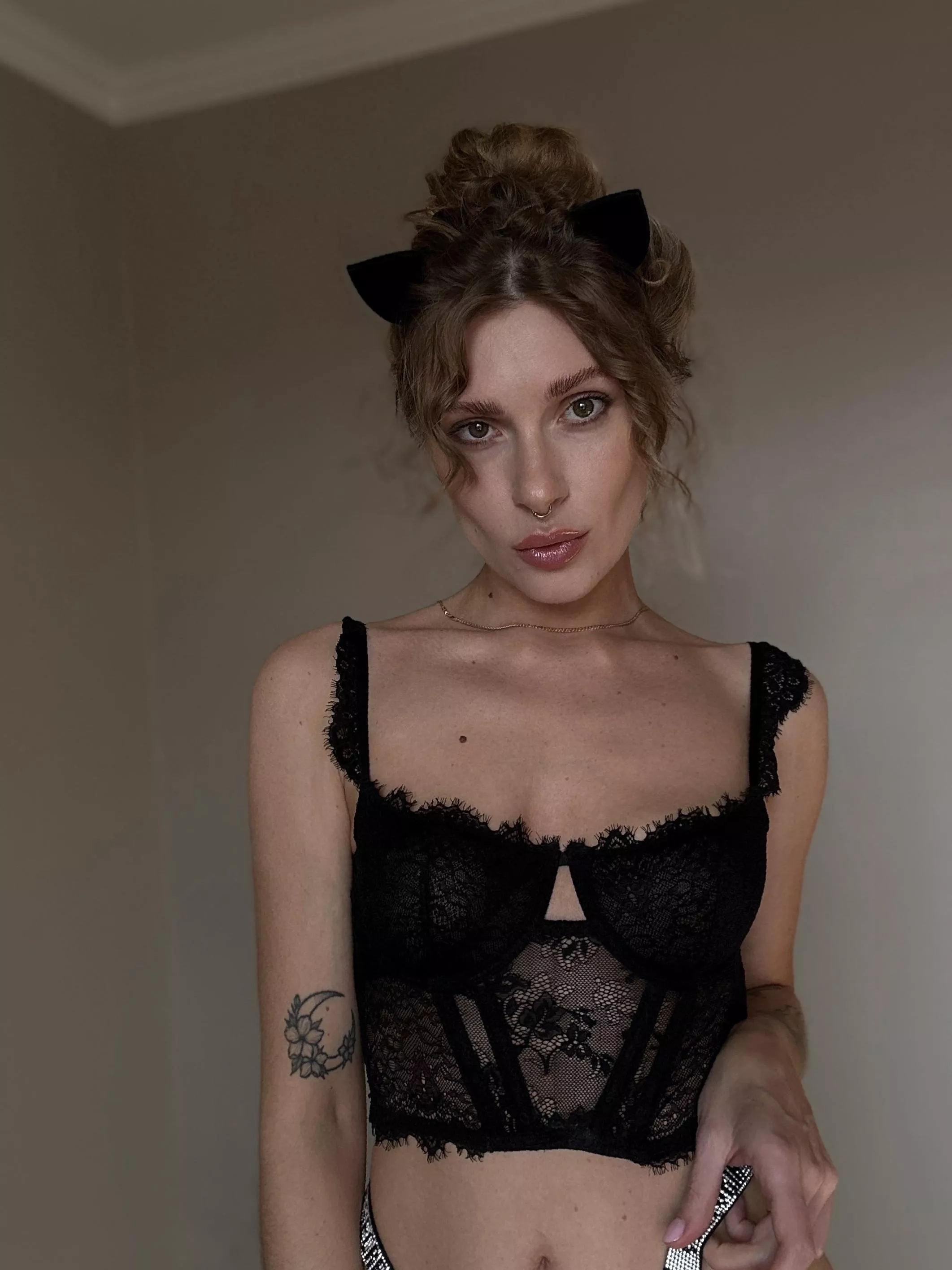 What do you want to feed your cat?