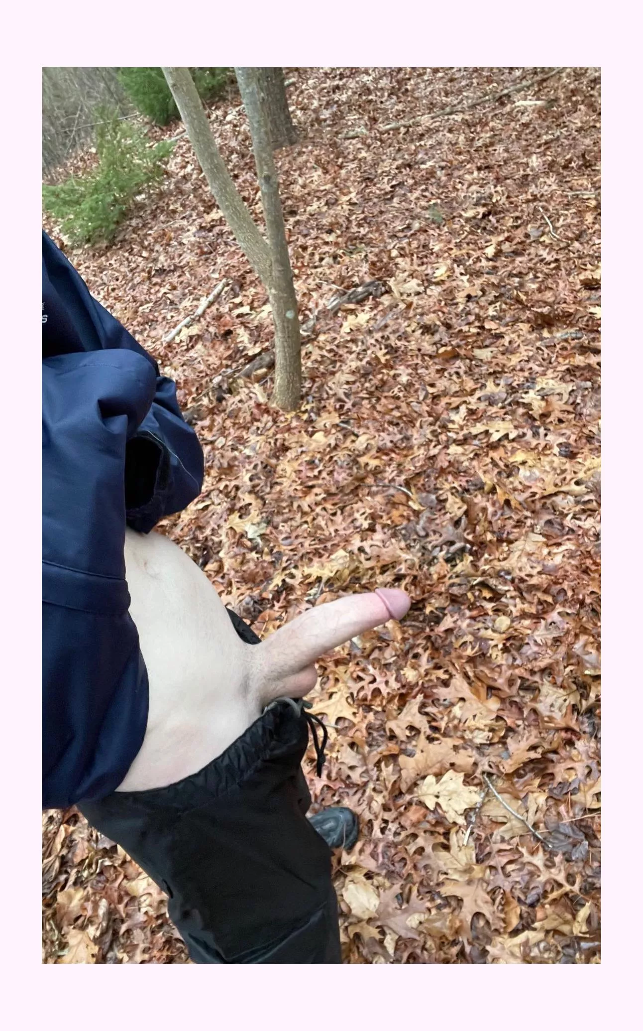 What woulw you do if you were walking in the woods and saw this?