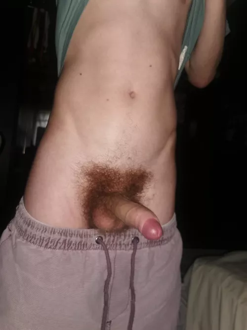 What's your thoughts?