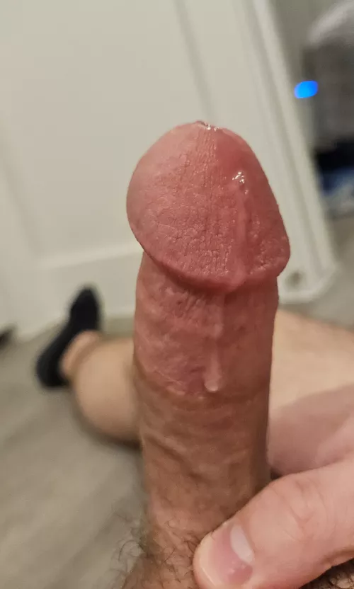 With this much precum just imagine how much I can cum