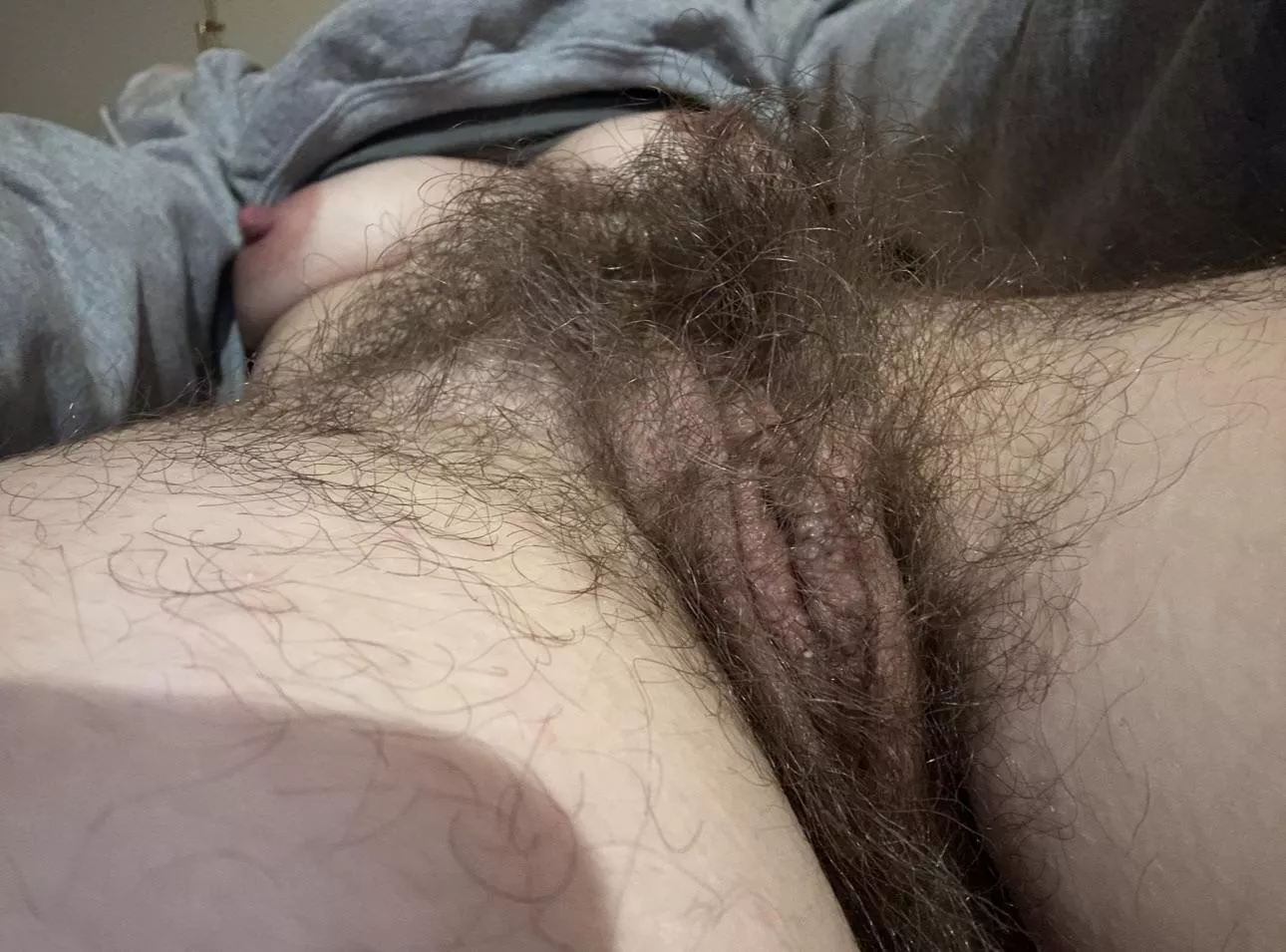Would you brush my beautiful bush?