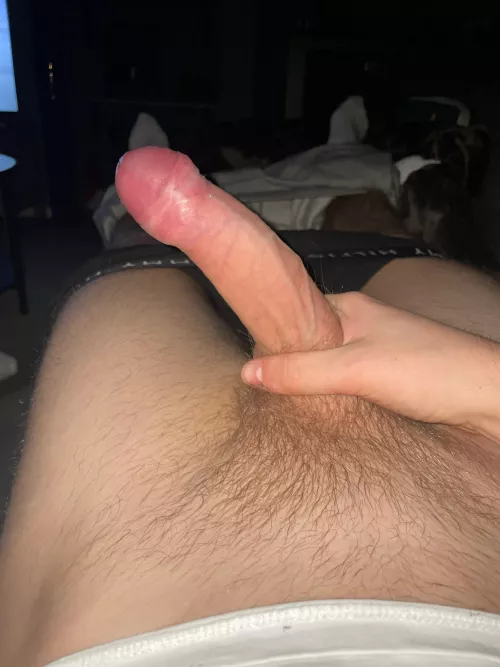 18 twink horny in living room while gf is clubbing. What are me doing in the mean time😈 add @jesseboston23