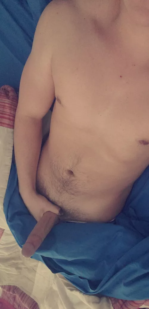 [25] How's My Morning Wood?