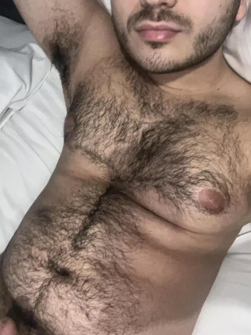 Arab bear 😉 links in bio