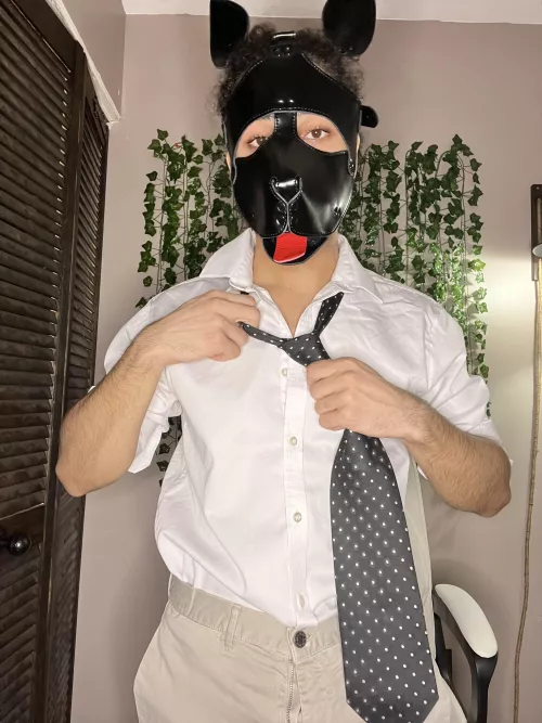 Arrrroooo Goodmorning ☺️ time for work