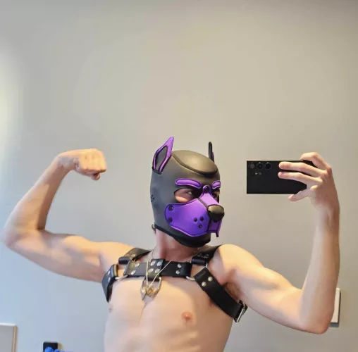 Aussie Pups do it better 😏