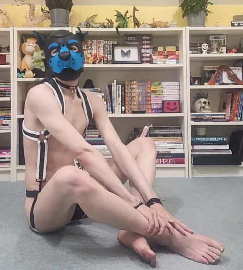 Awoo can't believe the subs finally back up, so excited to see what all the pups post again 🐶🐶