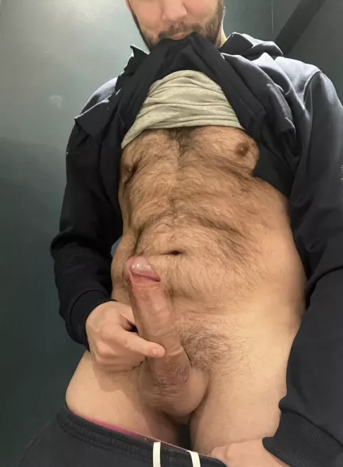 Dutch morning wood [37]