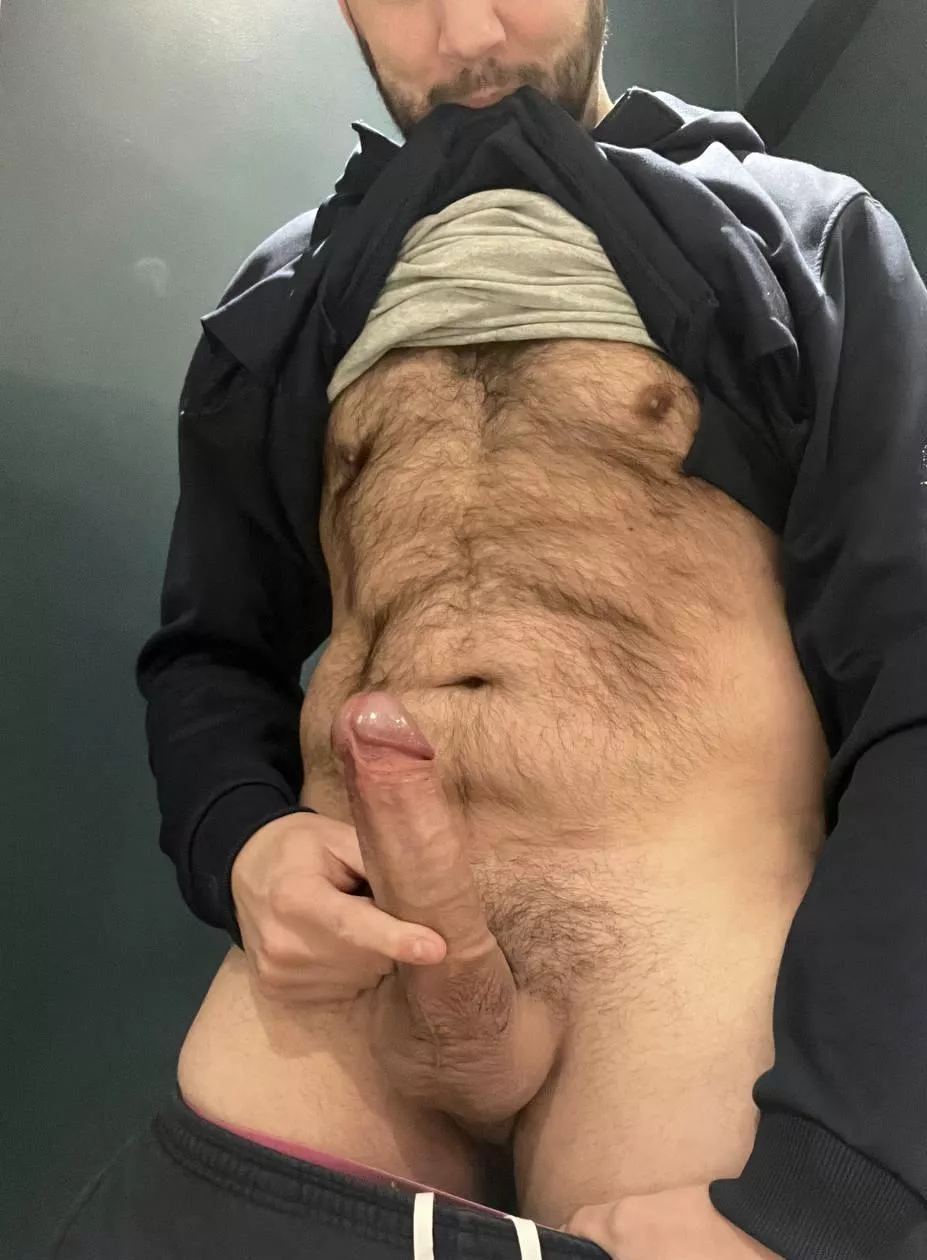 Dutch morning wood [37]