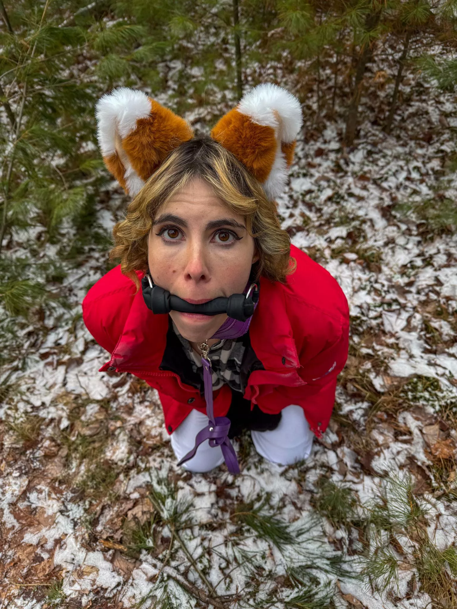 Foxes love bones you know