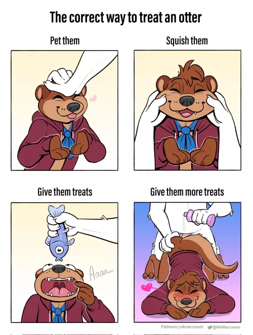 How to Treat an Otter (NikRaccoom)