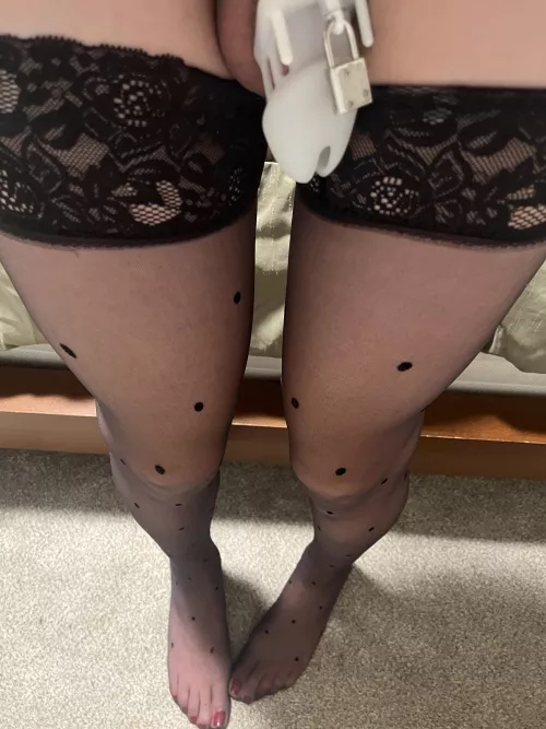 I think I need a smaller cage and it needs to be permanent.