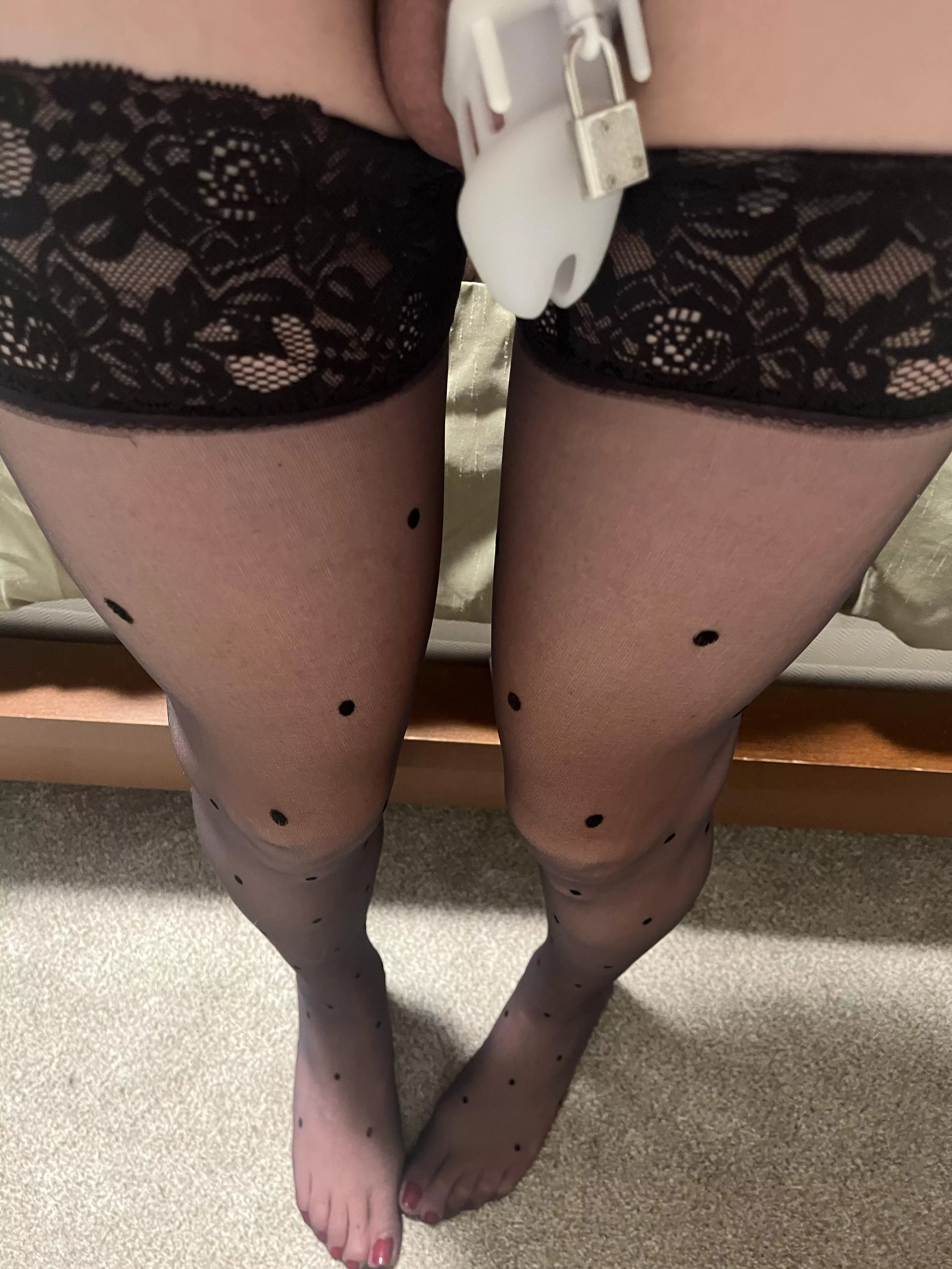 I think I need a smaller cage and it needs to be permanent. I think I need a smaller cage and it needs to be permanent.