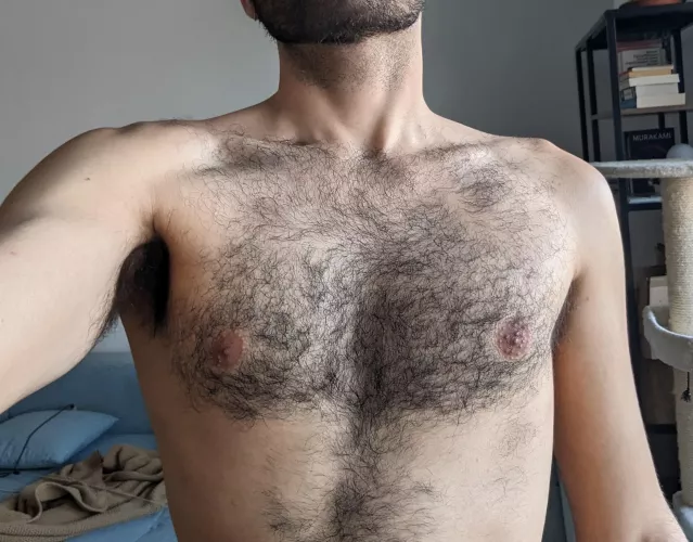 I want someone to caress my chest