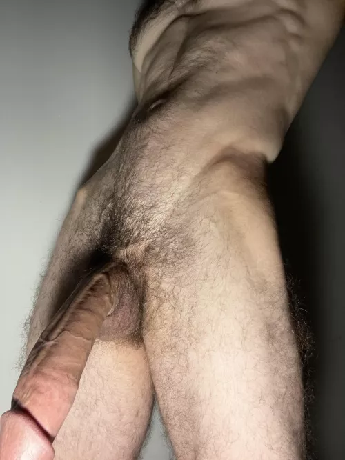 I’m growing them out this year