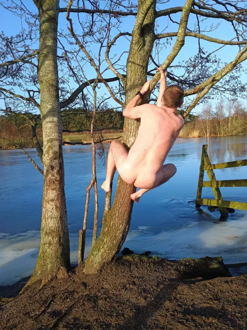 Monkeying around by the frozen lake