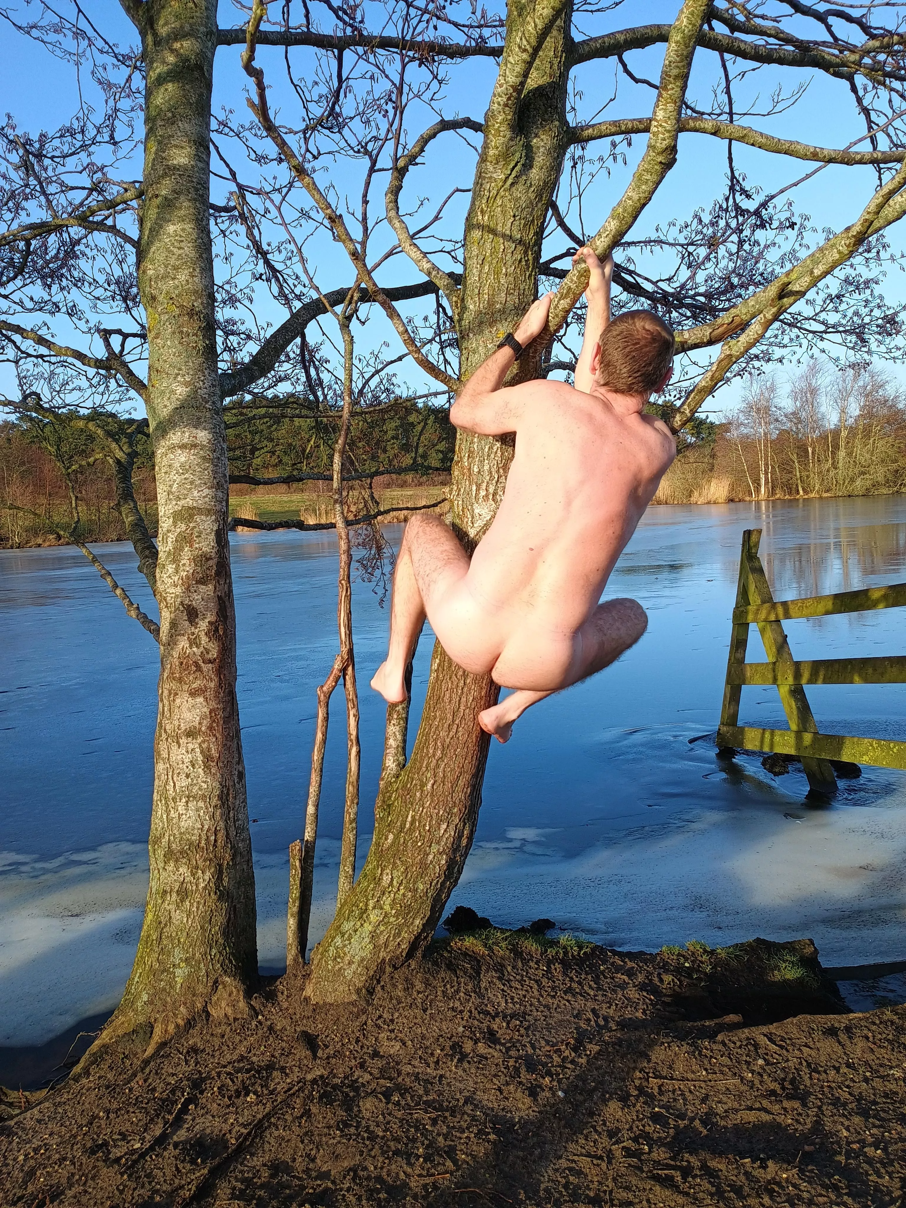 Monkeying around by the frozen lake