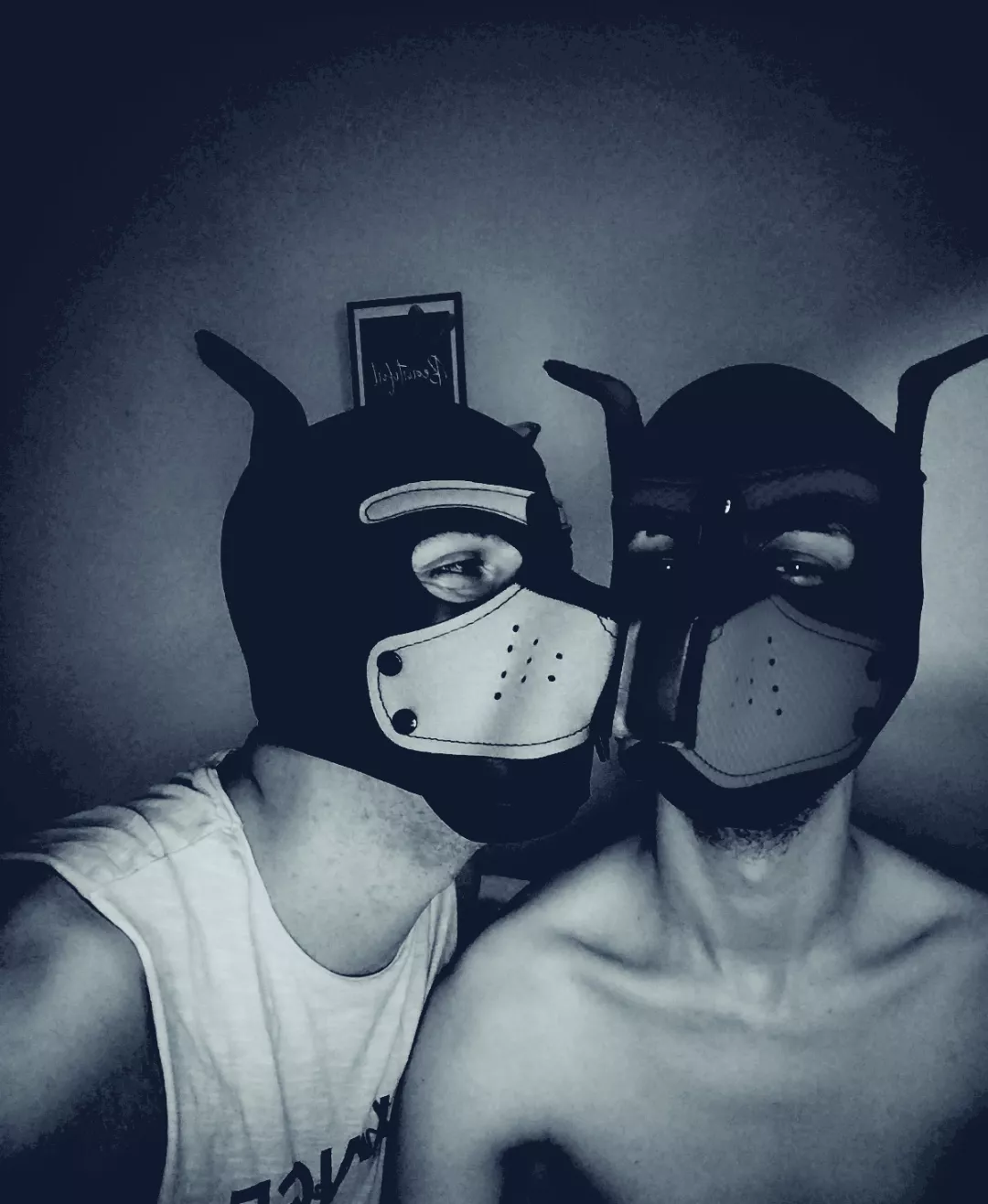 My boy 👉👈 💫❤️🐕