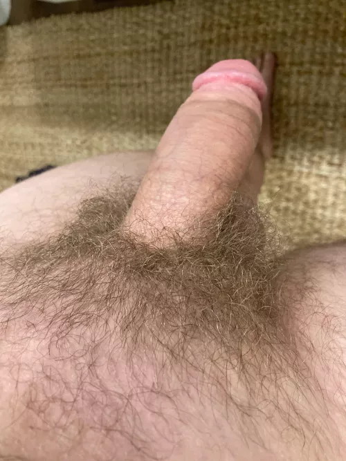 Pubes and a semi
