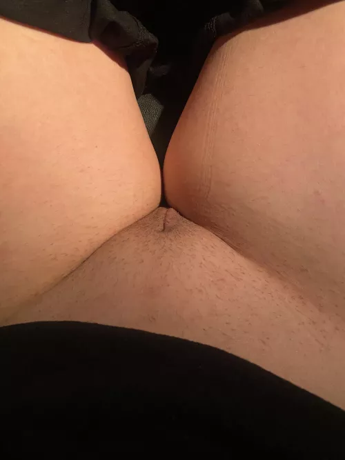 Pussy is a beautiful thing