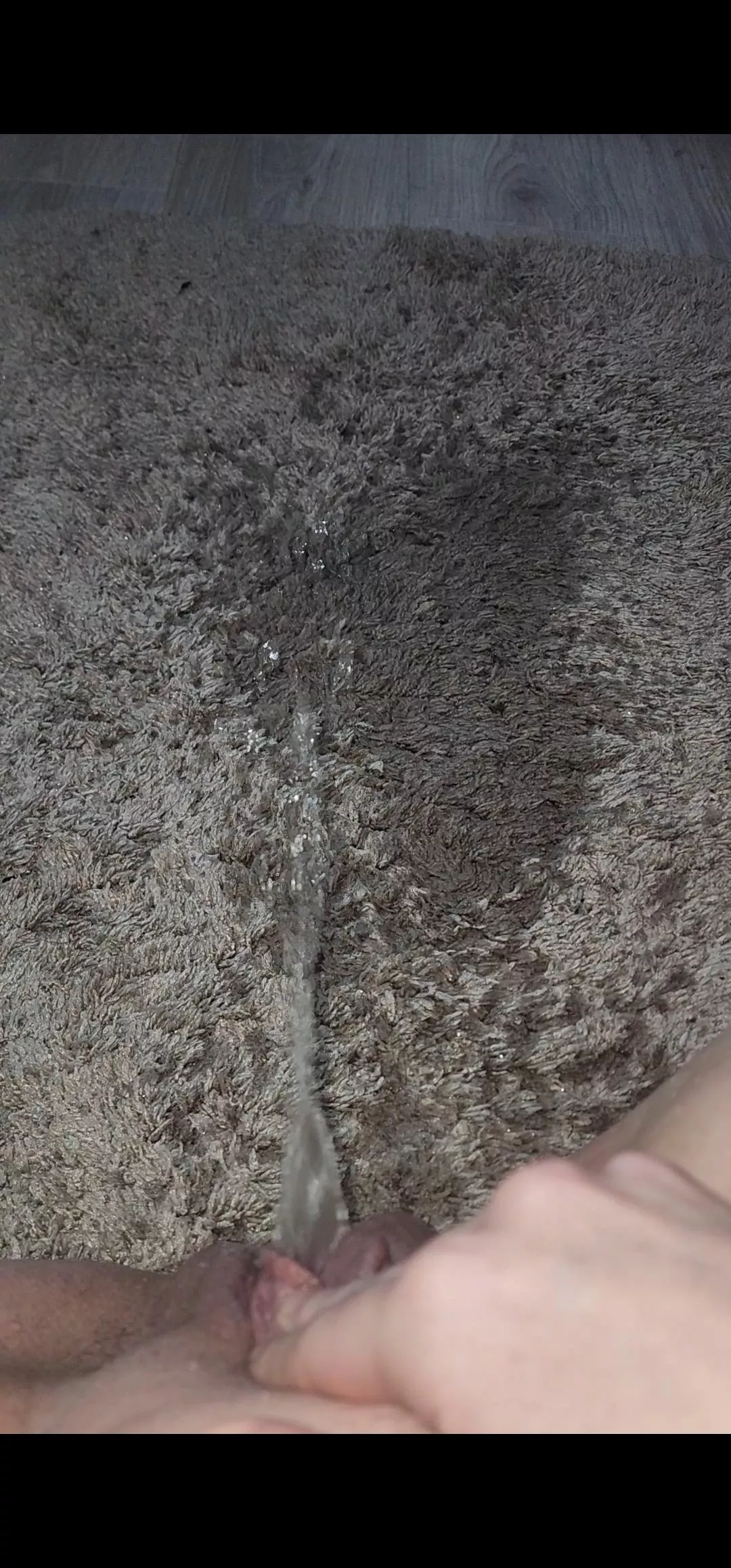 Quick little carpet piss