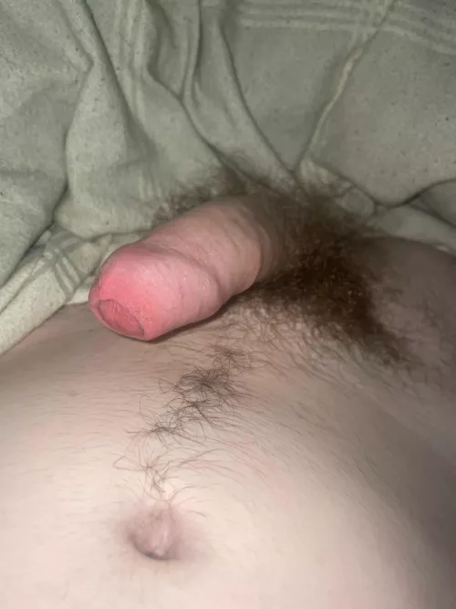 rate my cock