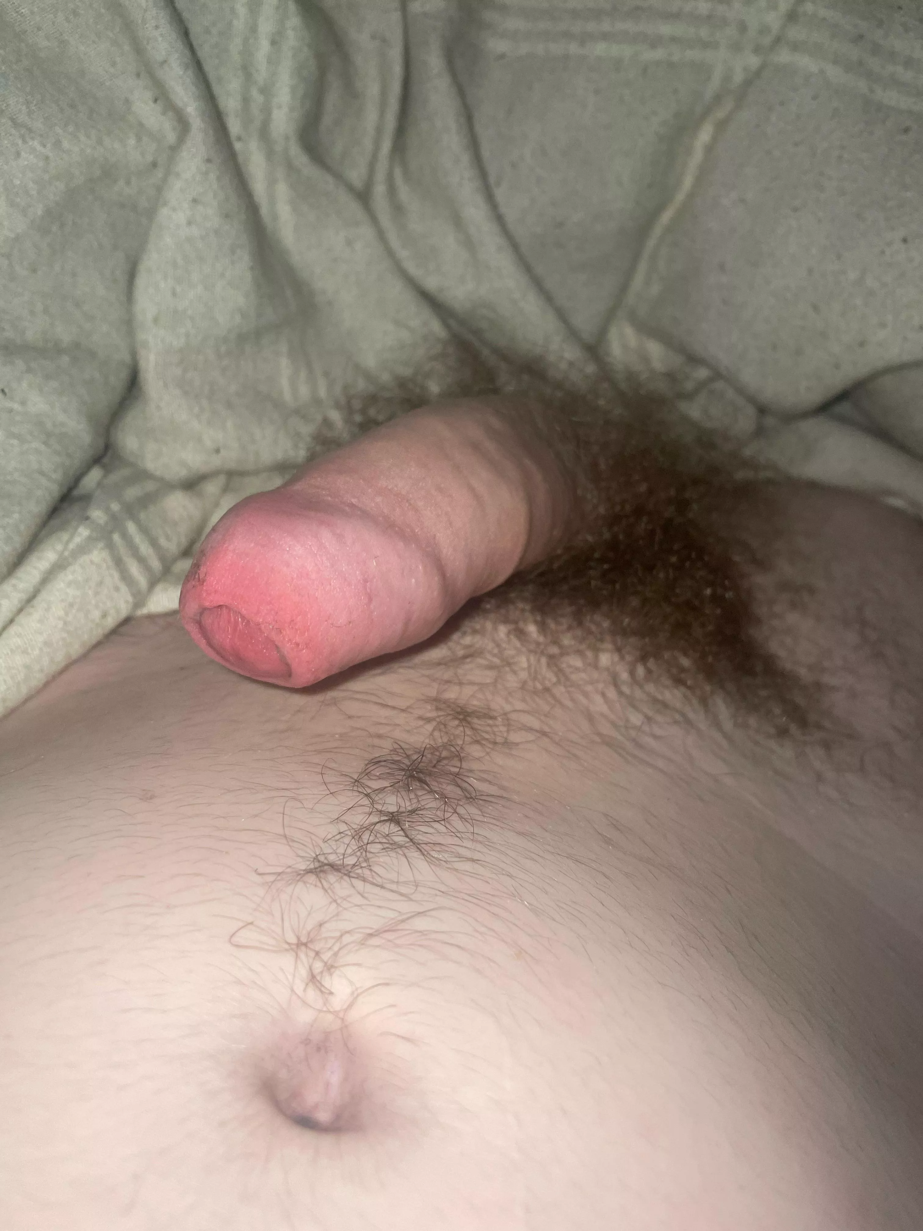 rate my cock