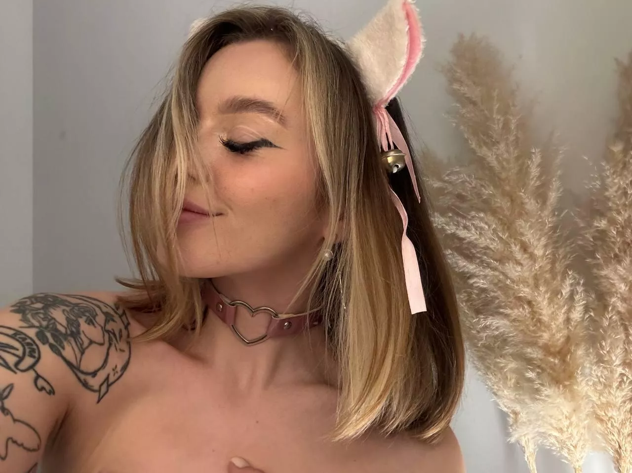 that collar looks pretty sweet to me, doesn't it