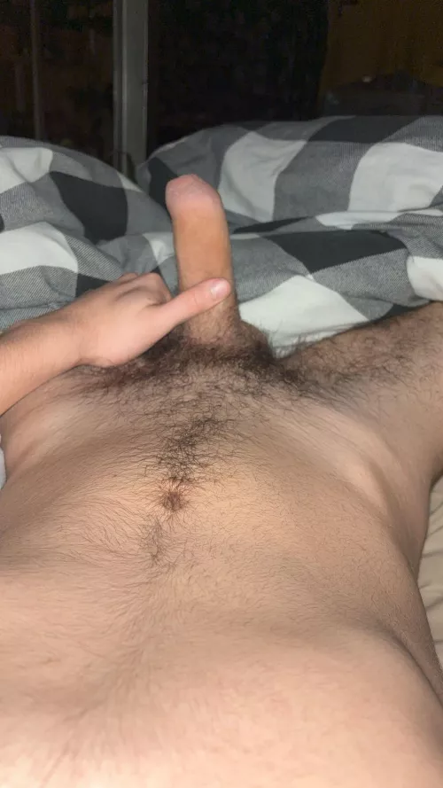 Uncut hairy cock
