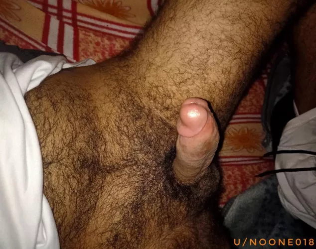 Where are the Egyptian cock lovers ?!