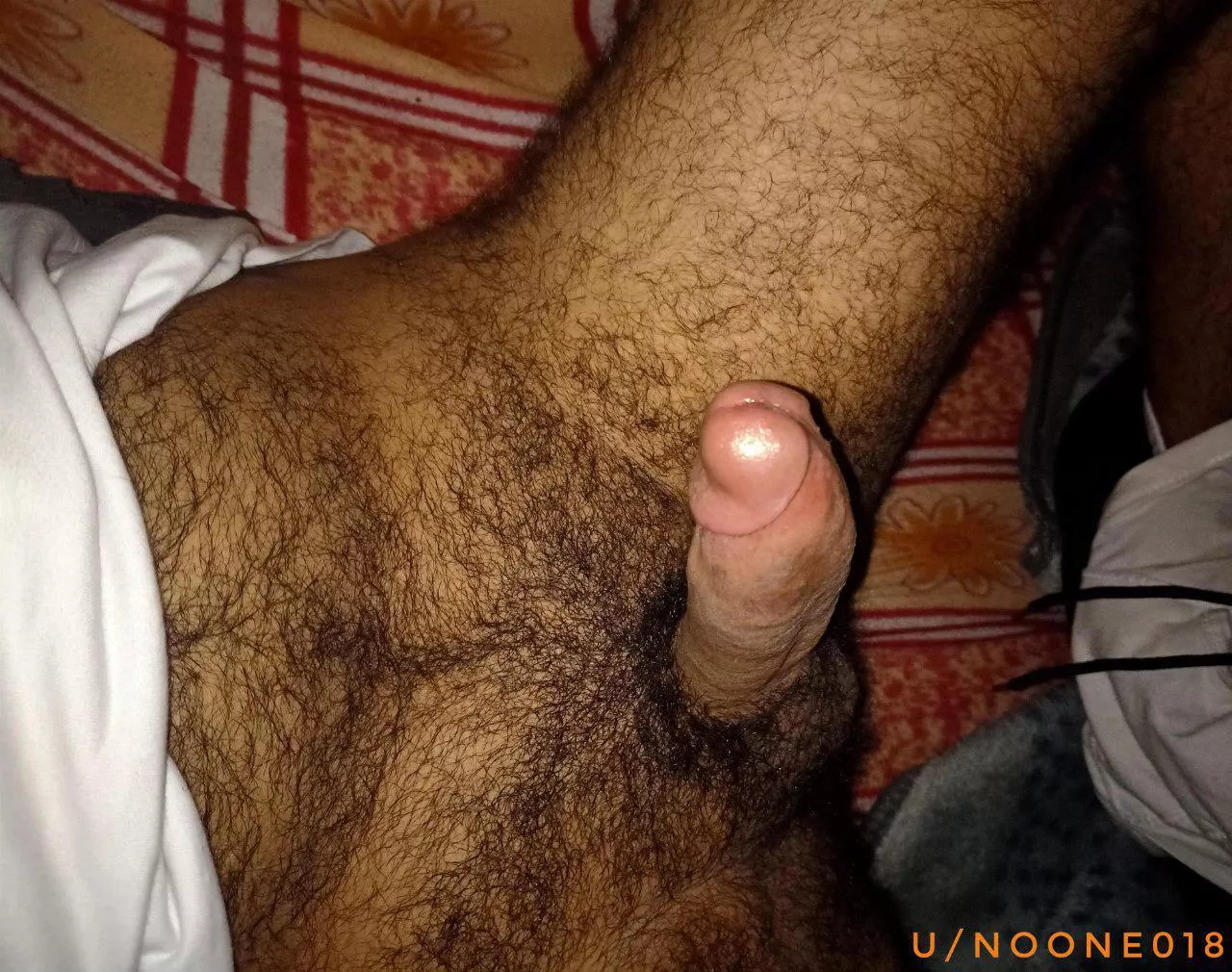 Where are the Egyptian cock lovers ?!