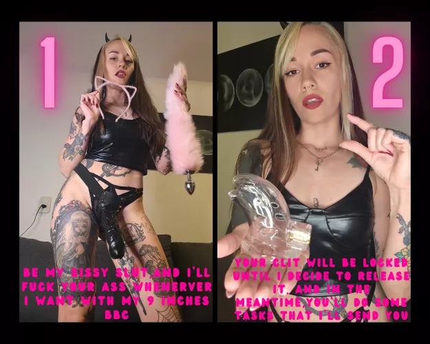 which one do you choose?